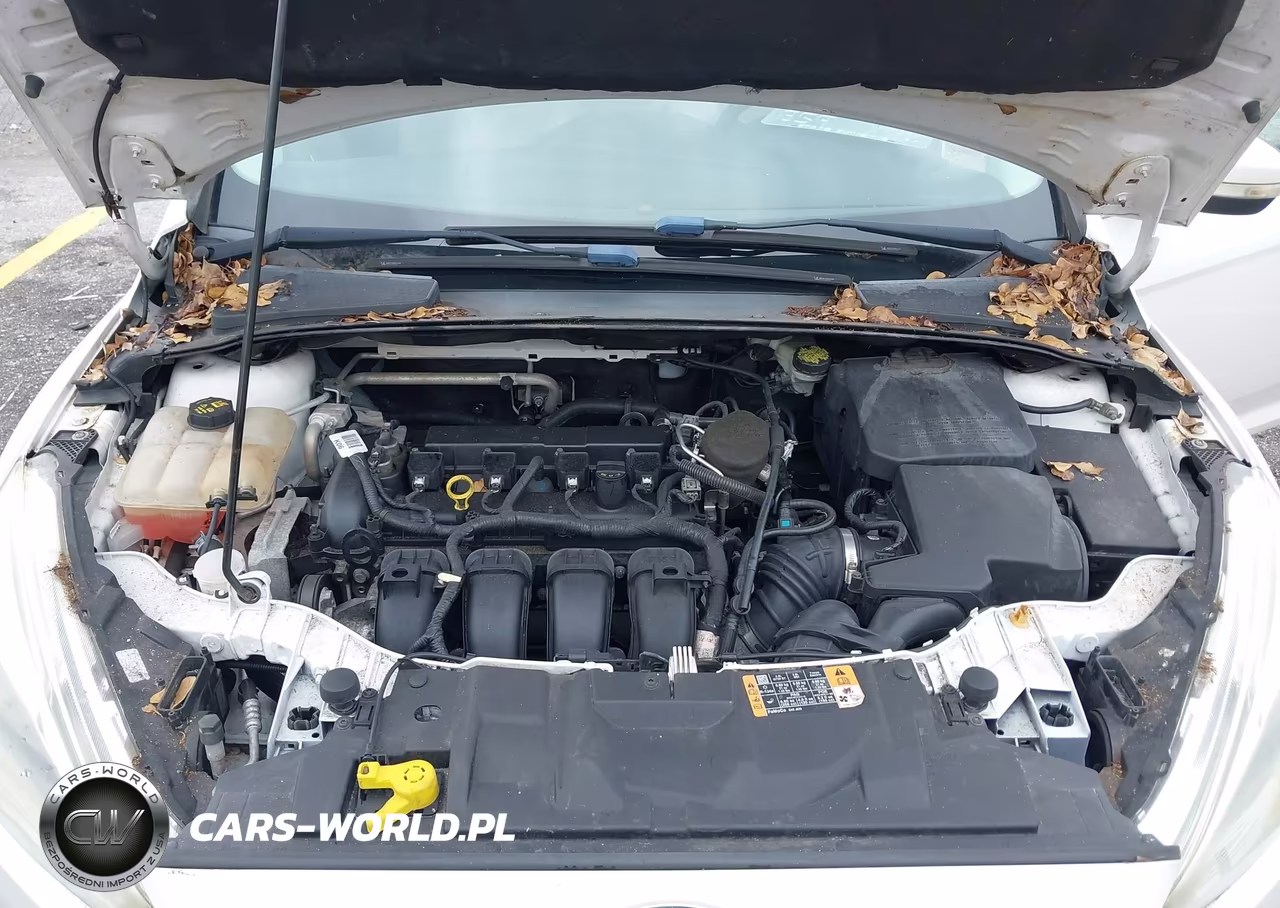 2016 Ford Focus Titanium VIN:1FADP3N23GL307007 - 10