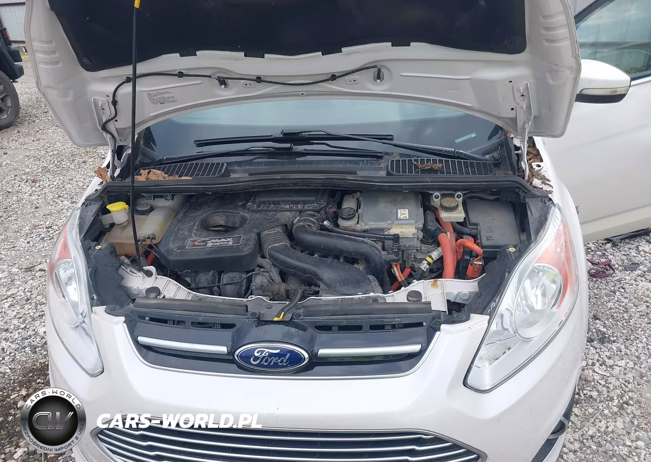 2013 Ford C-Max Energi Sel VIN:1FADP5CU9DL537758 - 10