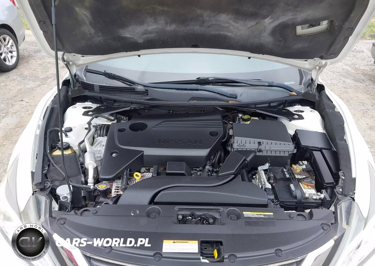 2016 Nissan Altima 2.5-2.5 S-2.5 Sl-2.5 Sr-2.5 Sv VIN:1N4AL3AP3GC245866 - 10
