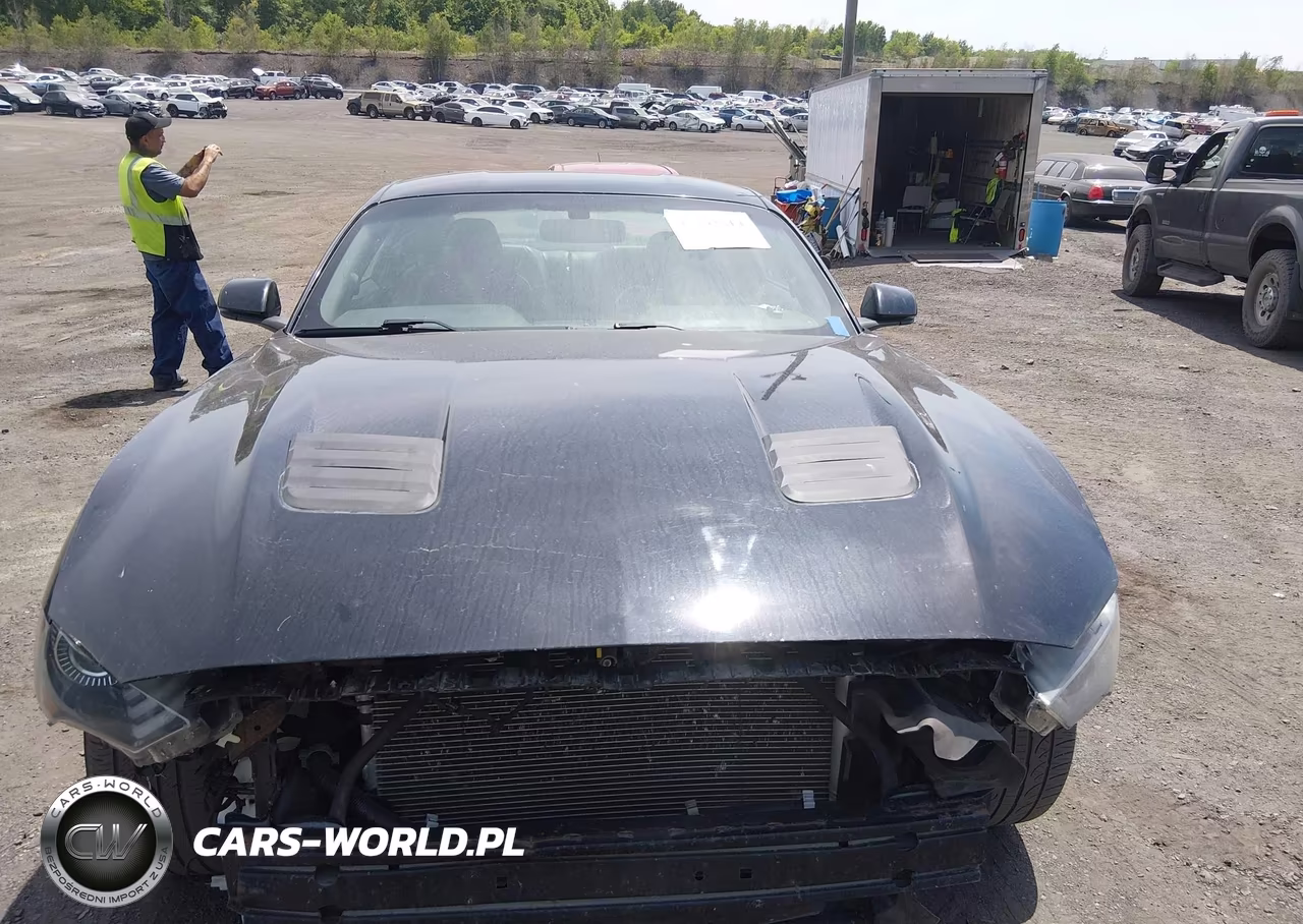 2018 Ford Mustang Ecoboost VIN:1FA6P8TH0J5128822 - 12