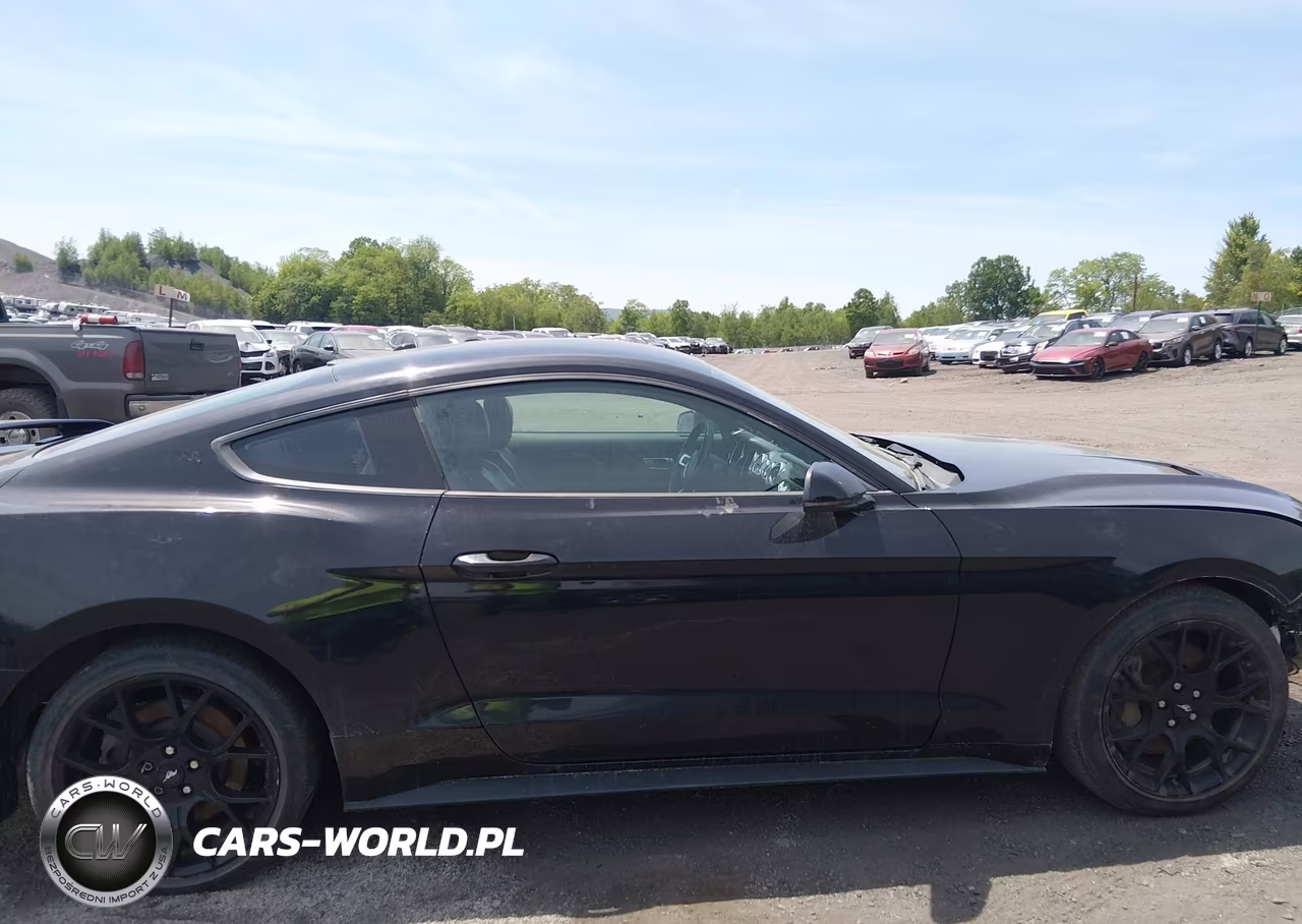 2018 Ford Mustang Ecoboost VIN:1FA6P8TH0J5128822 - 13