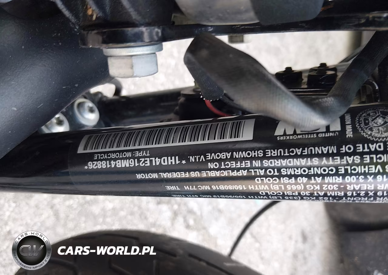 2021 Harley-Davidson Xl883 N VIN:1HD4LE216MB418826 - 10