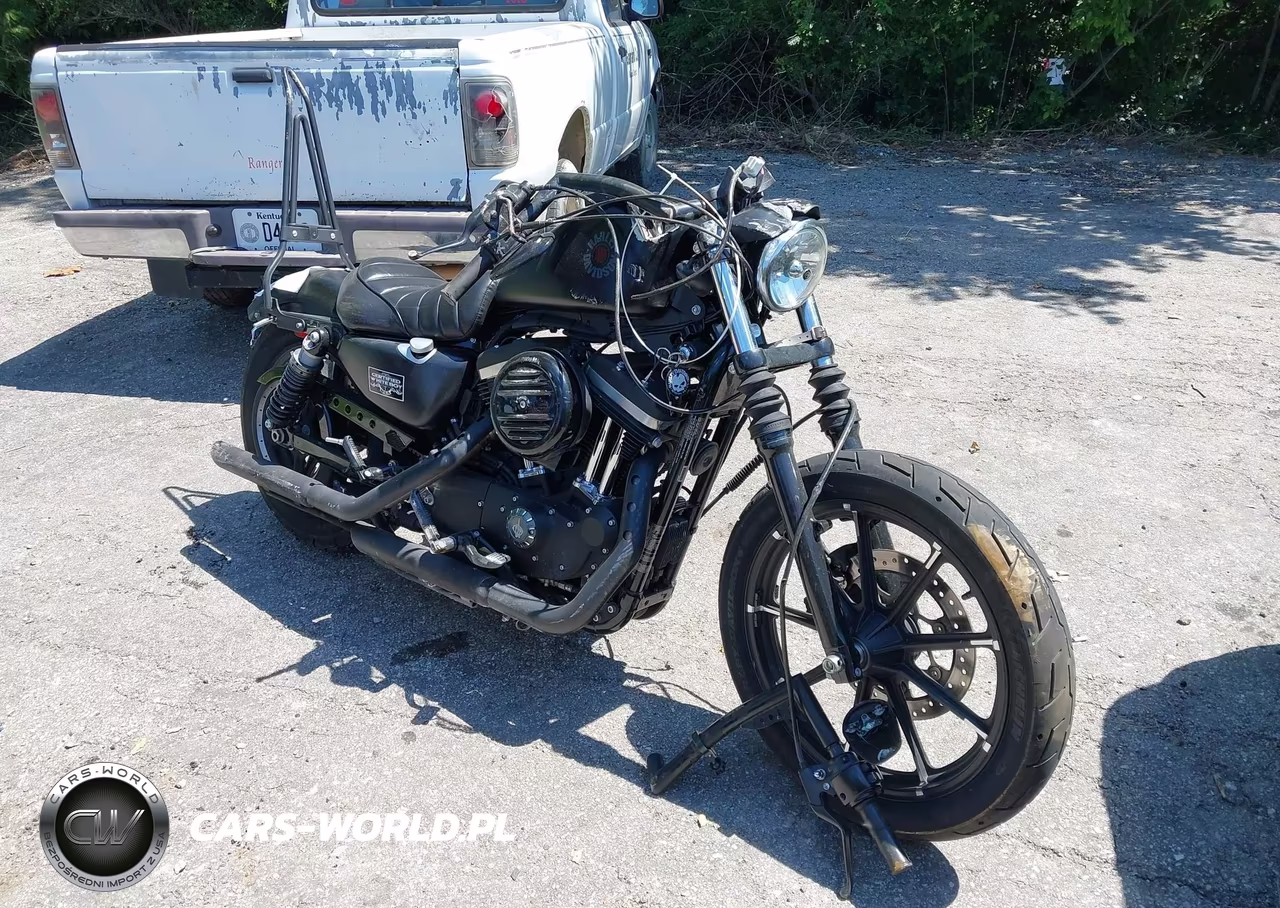 2021 Harley-Davidson Xl883 N VIN:1HD4LE216MB418826 - 12