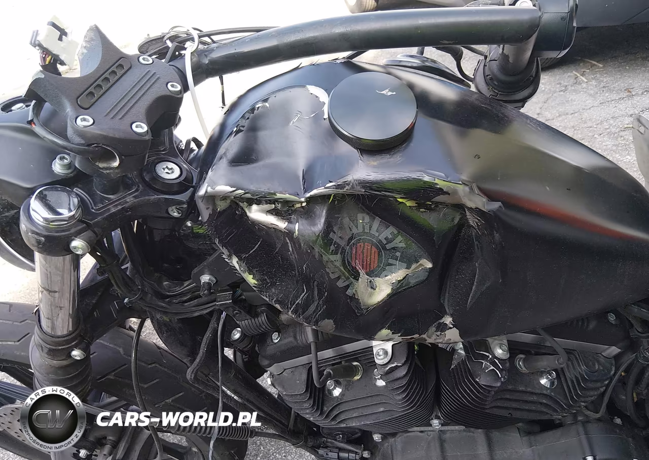 2021 Harley-Davidson Xl883 N VIN:1HD4LE216MB418826 - 14
