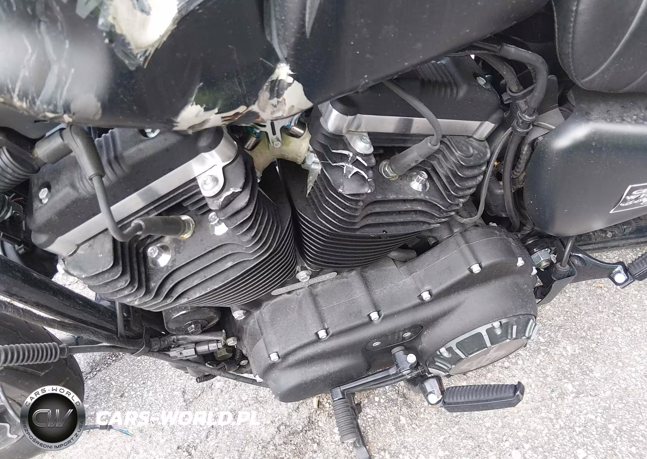 2021 Harley-Davidson Xl883 N VIN:1HD4LE216MB418826 - 16