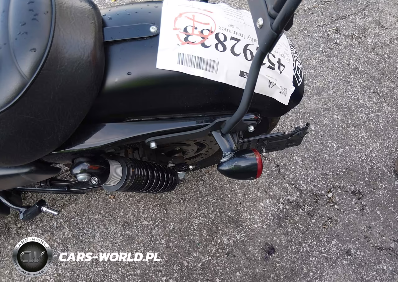 2021 Harley-Davidson Xl883 N VIN:1HD4LE216MB418826 - 17