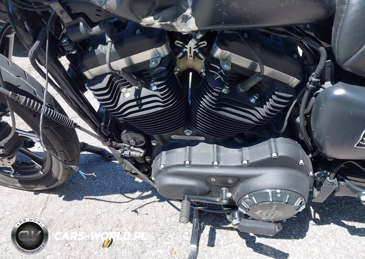 2021 Harley-Davidson Xl883 N VIN:1HD4LE216MB418826 - 9