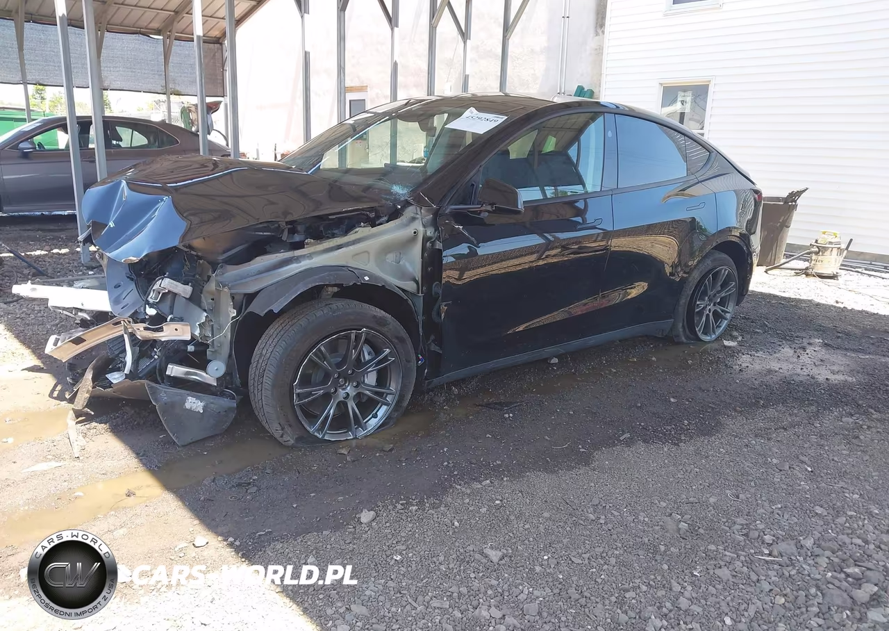 2024 Tesla Model Y Long Range Dual Motor All-Wheel Drive VIN:7SAYGAEE1RF105219 - 2