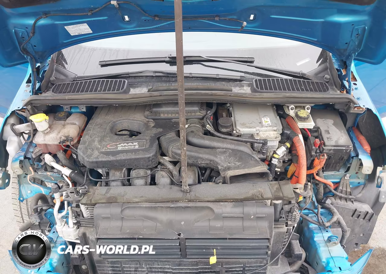 2013 Ford C-Max Energi Sel VIN:1FADP5CUXDL556206 - 10