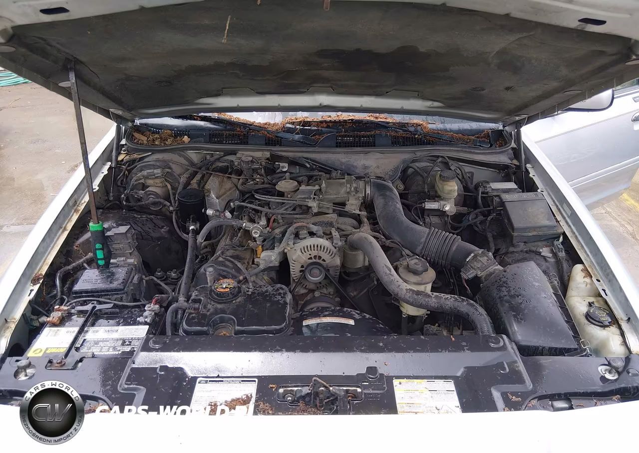 1999 Ford Crown Victoria Lx VIN:2FAFP74W8XX215270 - 10