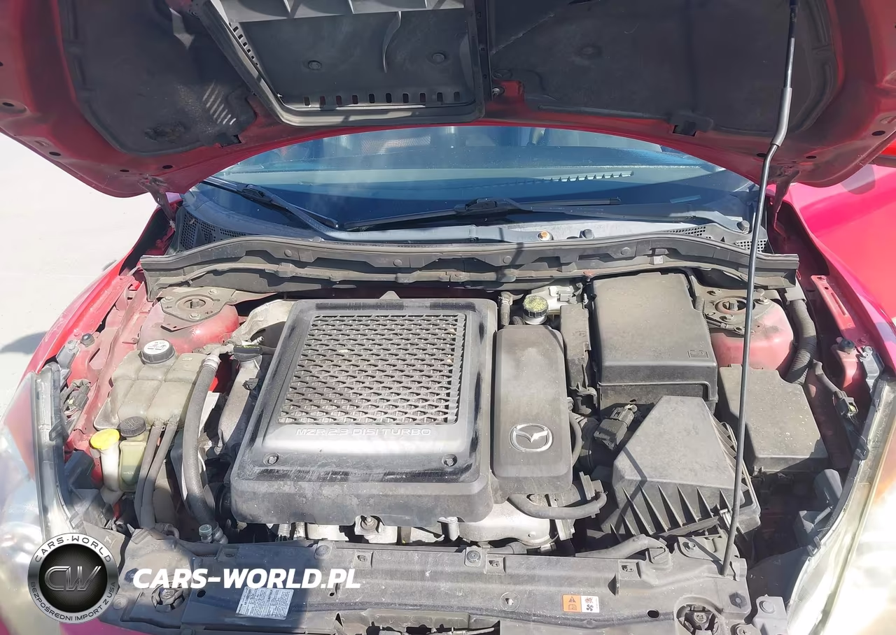 2010 Mazda Mazdaspeed3 Sport VIN:JM1BL1H4XA1176384 - 10
