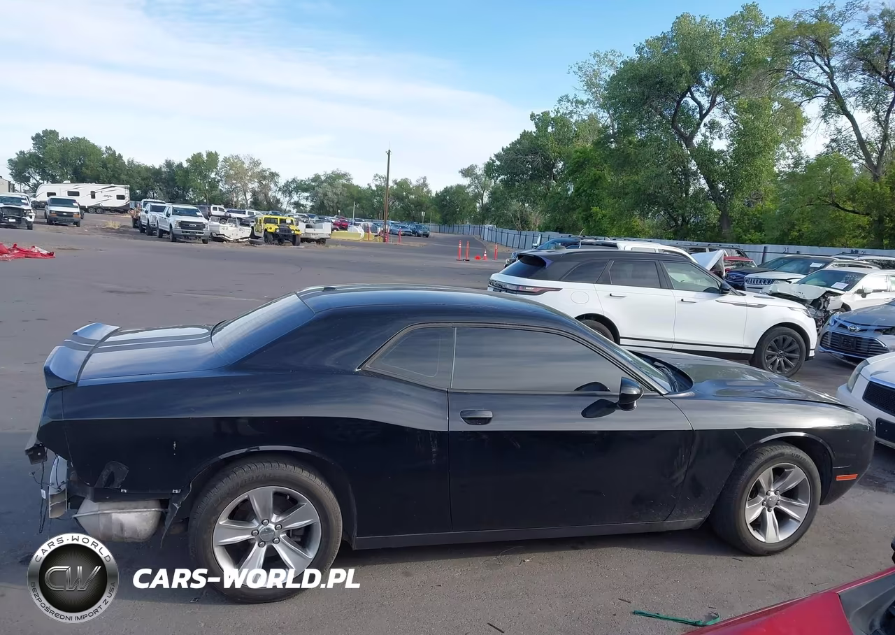 2018 Dodge Challenger Sxt VIN:2C3CDZAG8JH245454 - 13