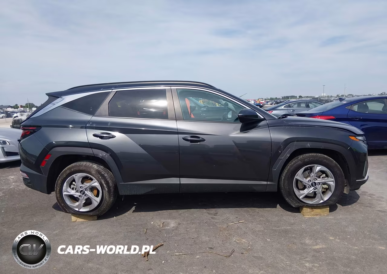 2024 Hyundai Tucson Sel VIN:5NMJB3DE4RH300059 - 13
