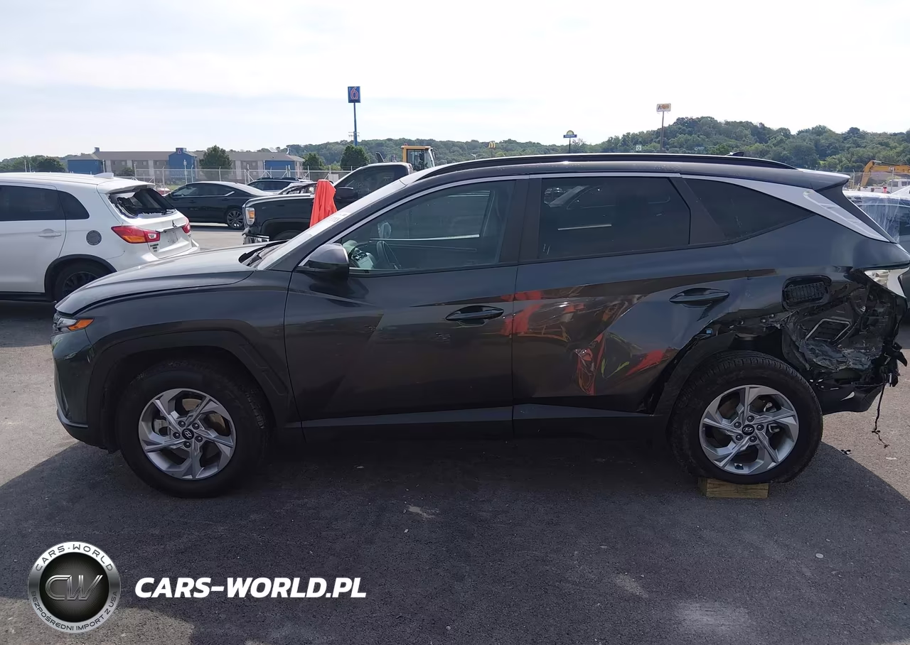 2024 Hyundai Tucson Sel VIN:5NMJB3DE4RH300059 - 14