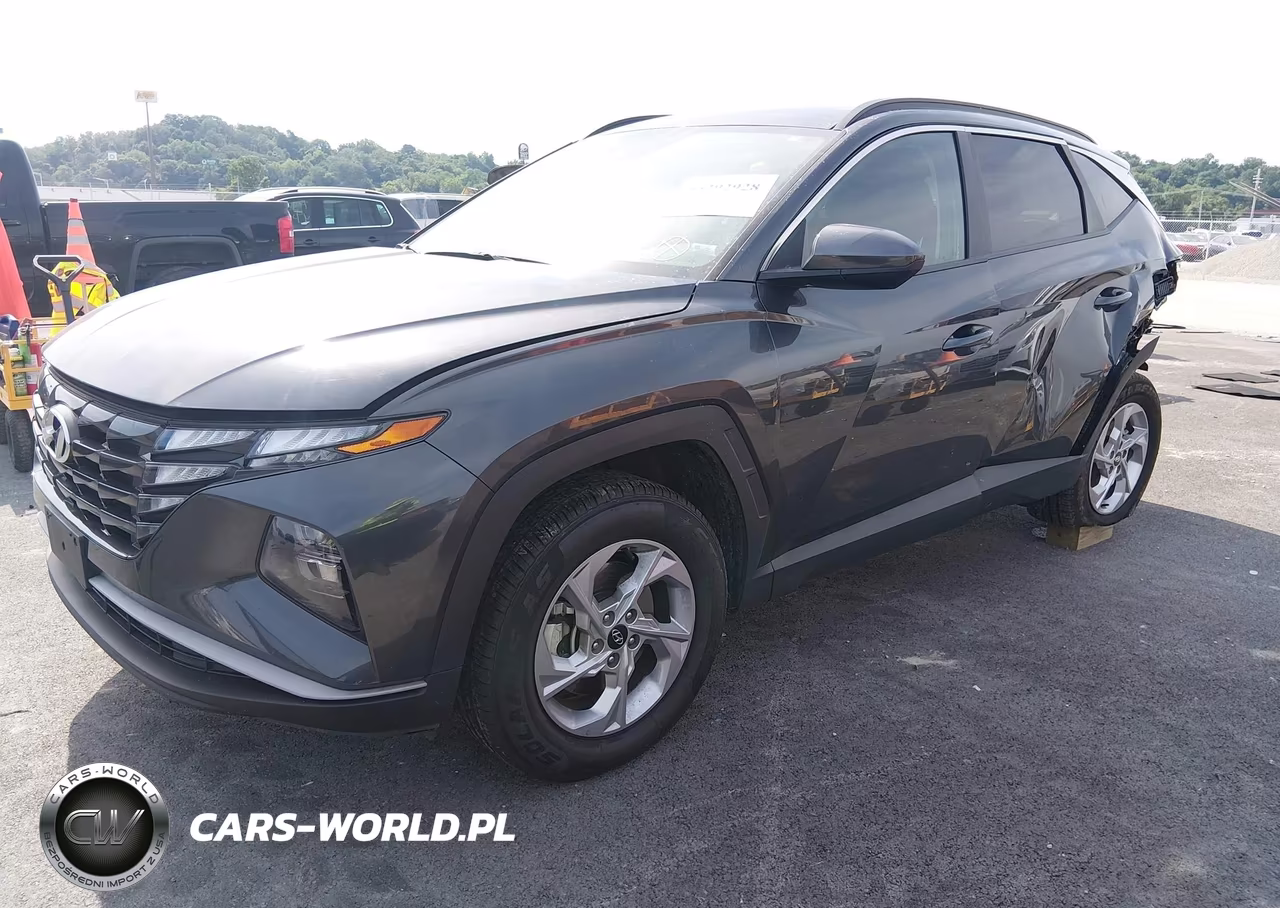 2024 Hyundai Tucson Sel VIN:5NMJB3DE4RH300059 - 2