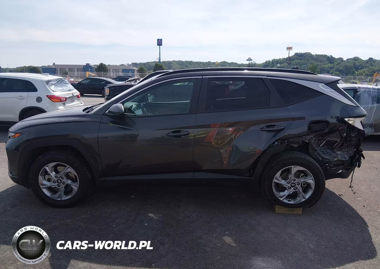 2024 Hyundai Tucson Sel VIN:5NMJB3DE4RH300059 - 6