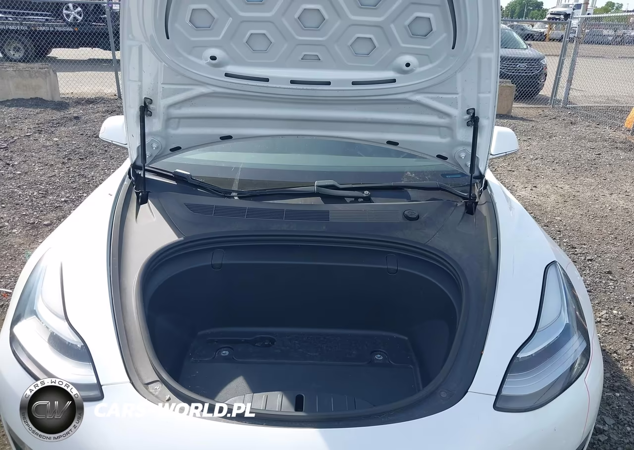 2019 Tesla Model 3 Long Range-Mid Range-Standard Range-Standard Range Plus VIN:5YJ3E1EA9KF466858 - 10