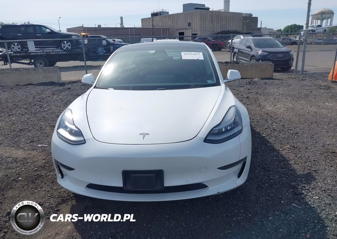 2019 Tesla Model 3 Long Range-Mid Range-Standard Range-Standard Range Plus VIN:5YJ3E1EA9KF466858 - 11