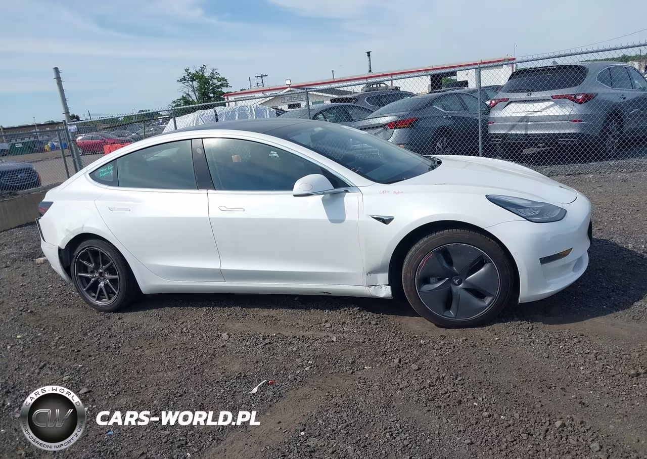 2019 Tesla Model 3 Long Range-Mid Range-Standard Range-Standard Range Plus VIN:5YJ3E1EA9KF466858 - 12