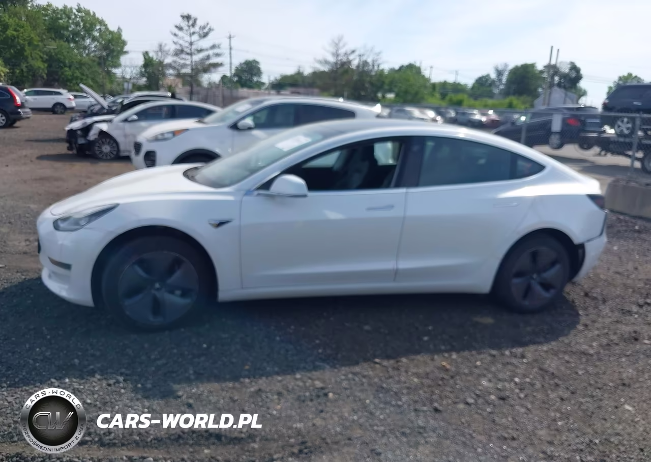 2019 Tesla Model 3 Long Range-Mid Range-Standard Range-Standard Range Plus VIN:5YJ3E1EA9KF466858 - 13