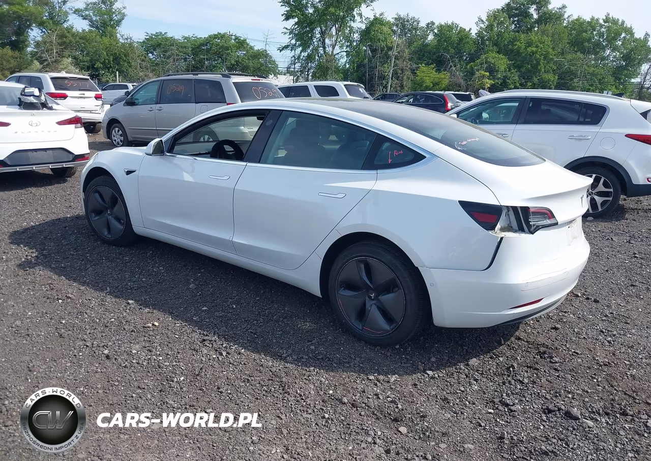 2019 Tesla Model 3 Long Range-Mid Range-Standard Range-Standard Range Plus VIN:5YJ3E1EA9KF466858 - 3
