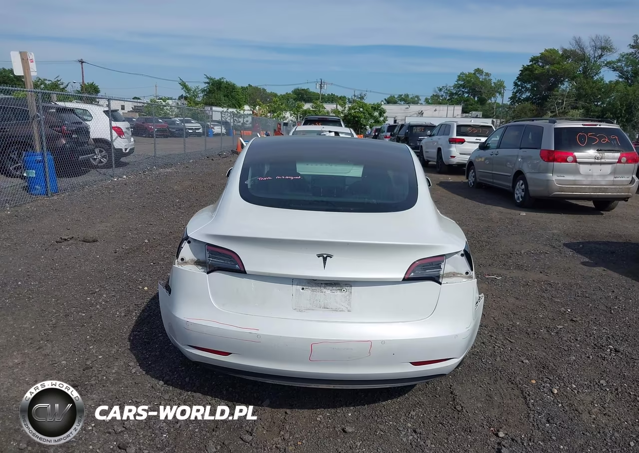2019 Tesla Model 3 Long Range-Mid Range-Standard Range-Standard Range Plus VIN:5YJ3E1EA9KF466858 - 6
