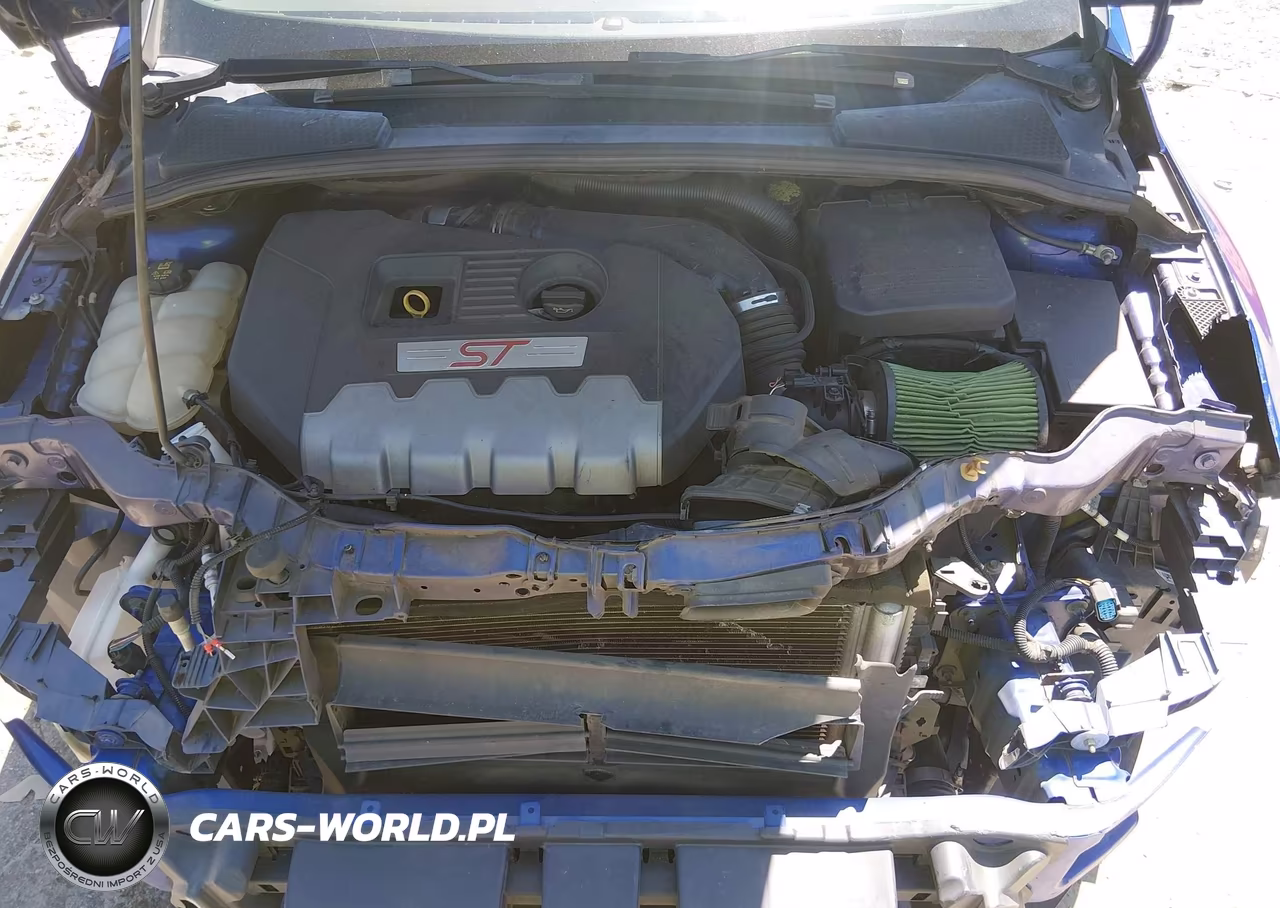 2014 Ford Focus St VIN:1FADP3L97EL426353 - 10