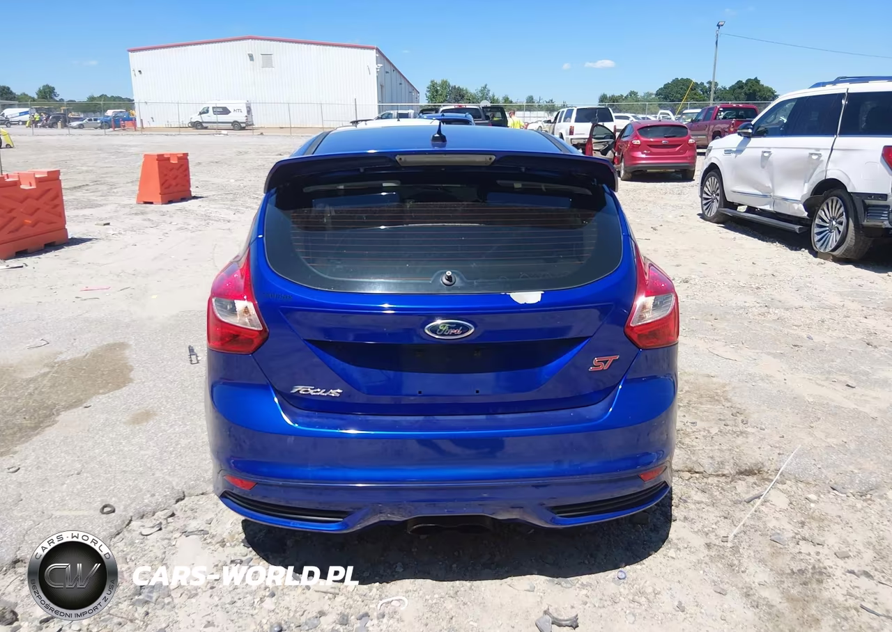 2014 Ford Focus St VIN:1FADP3L97EL426353 - 17