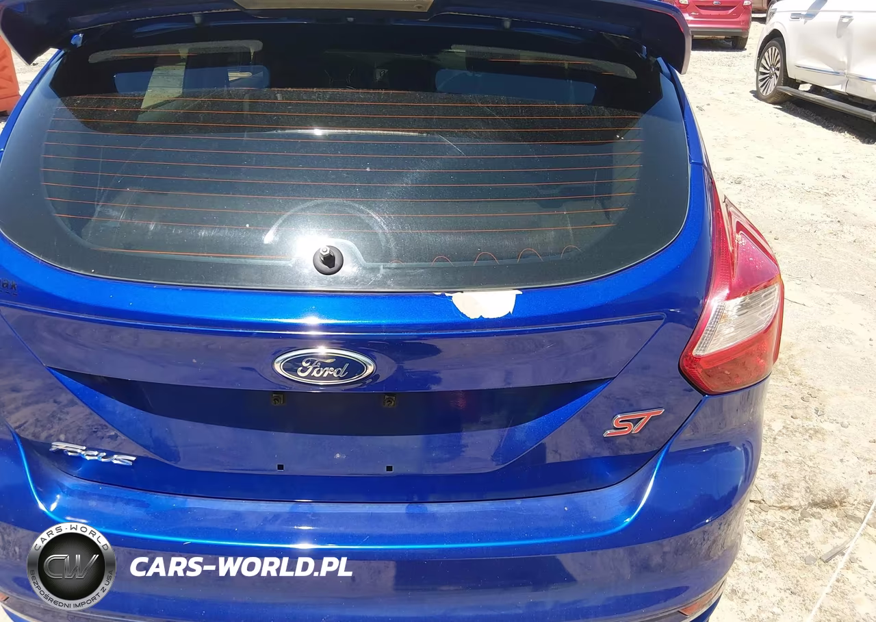 2014 Ford Focus St VIN:1FADP3L97EL426353 - 19