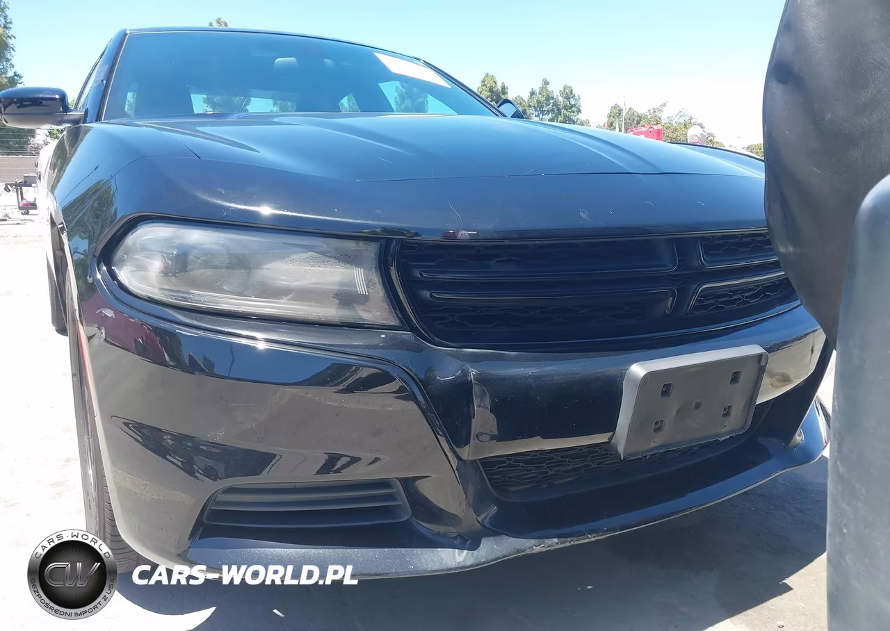 2019 Dodge Charger Police Rwd VIN:2C3CDXATXKH514119 - 6