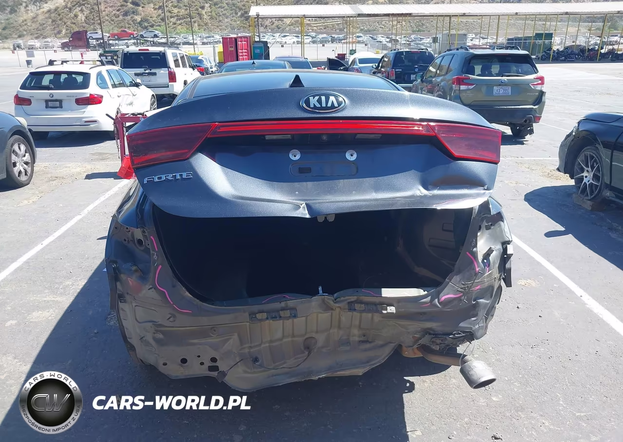 2020 Kia Forte Lxs VIN:3KPF24AD4LE249099 - 17