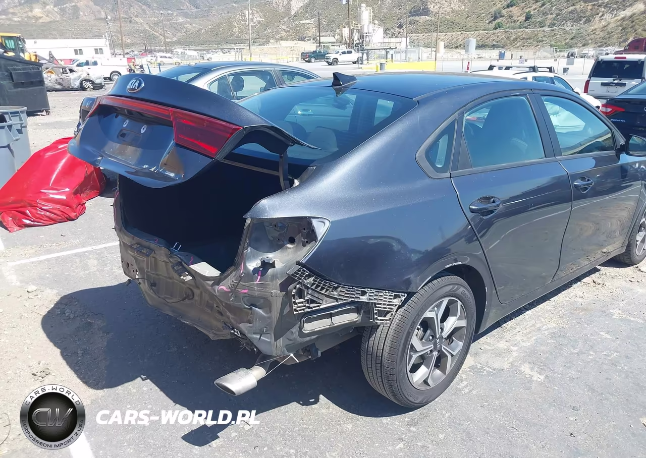 2020 Kia Forte Lxs VIN:3KPF24AD4LE249099 - 19