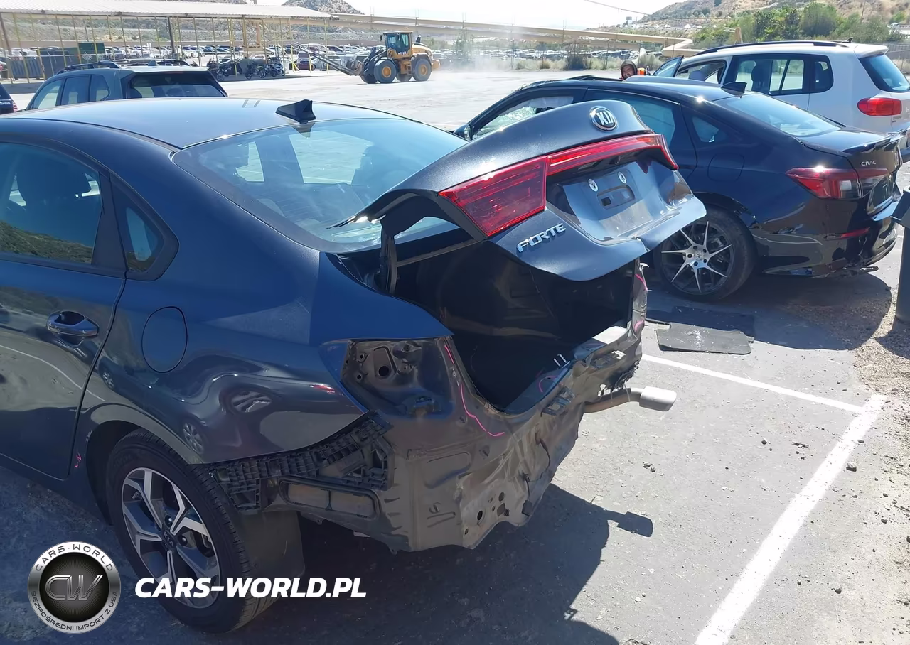 2020 Kia Forte Lxs VIN:3KPF24AD4LE249099 - 20