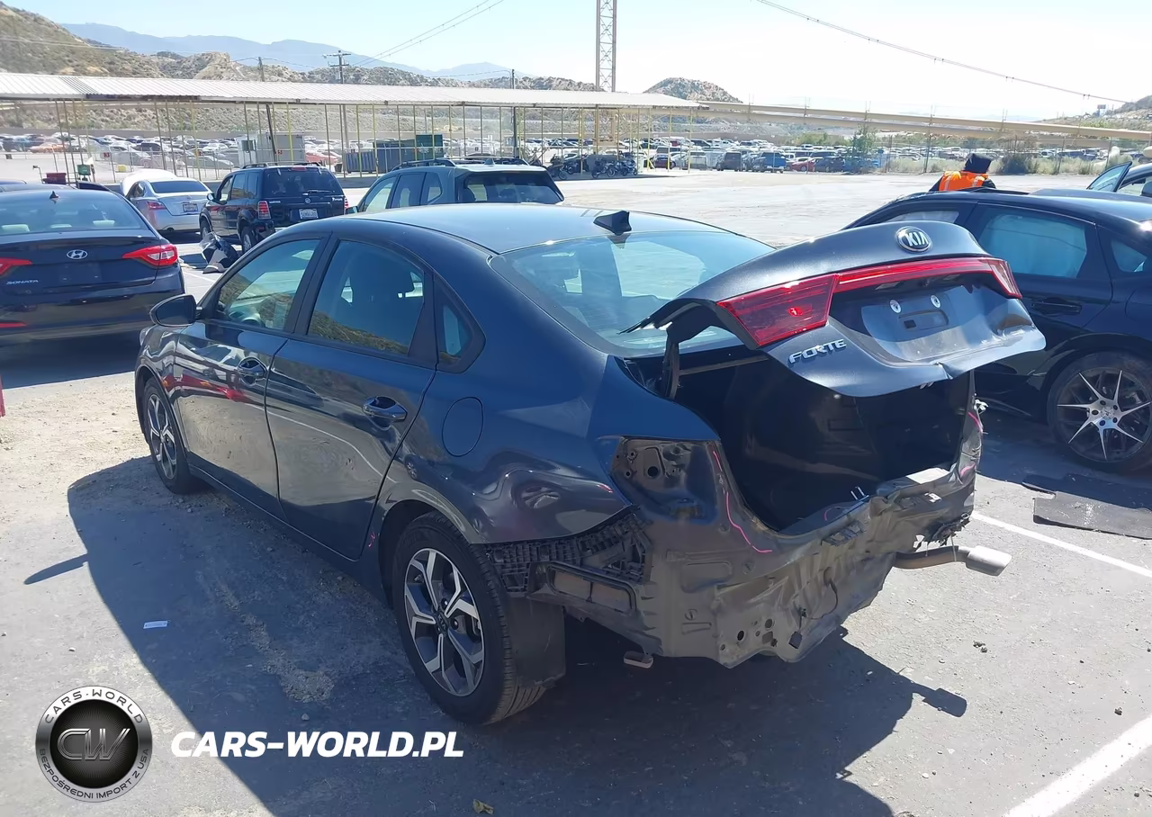 2020 Kia Forte Lxs VIN:3KPF24AD4LE249099 - 3