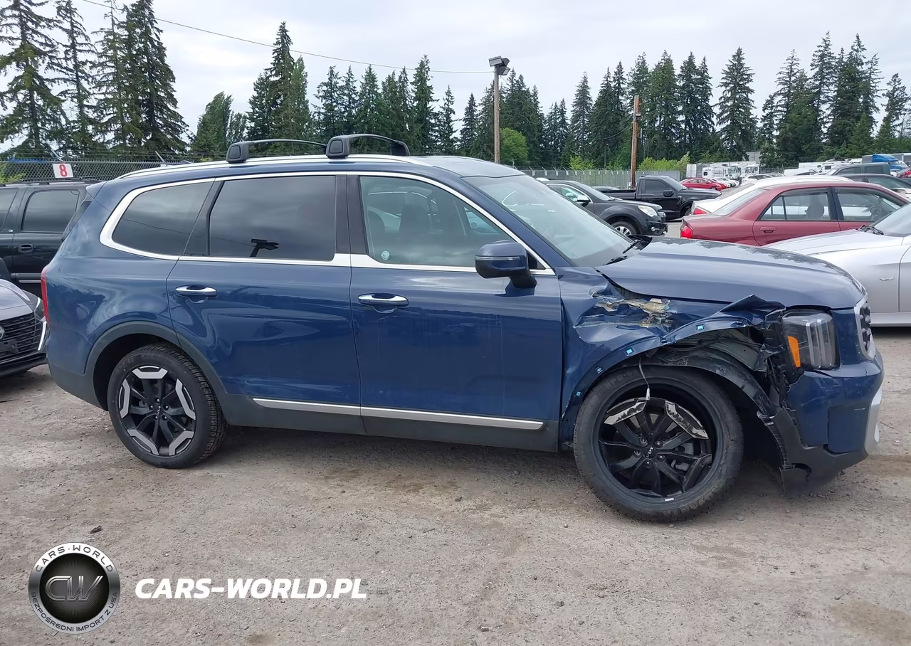2025 Kia Telluride S VIN:5XYP6DGC6SG582106 - 13