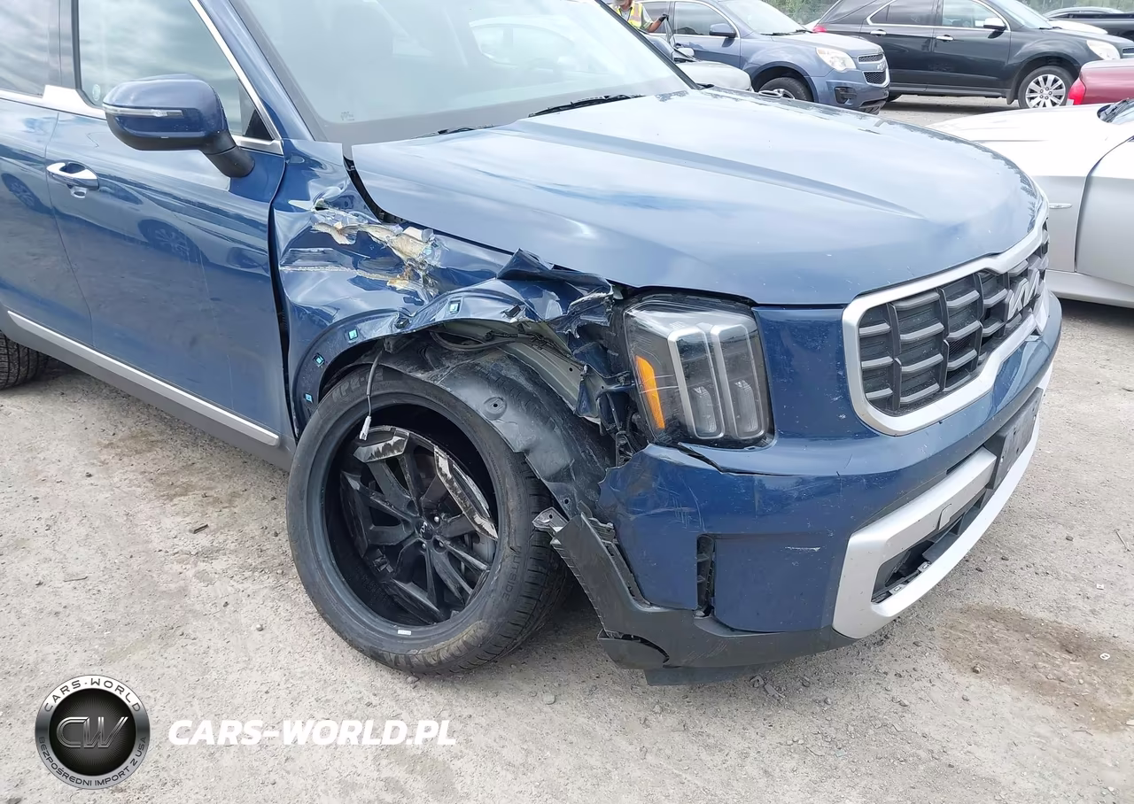 2025 Kia Telluride S VIN:5XYP6DGC6SG582106 - 6