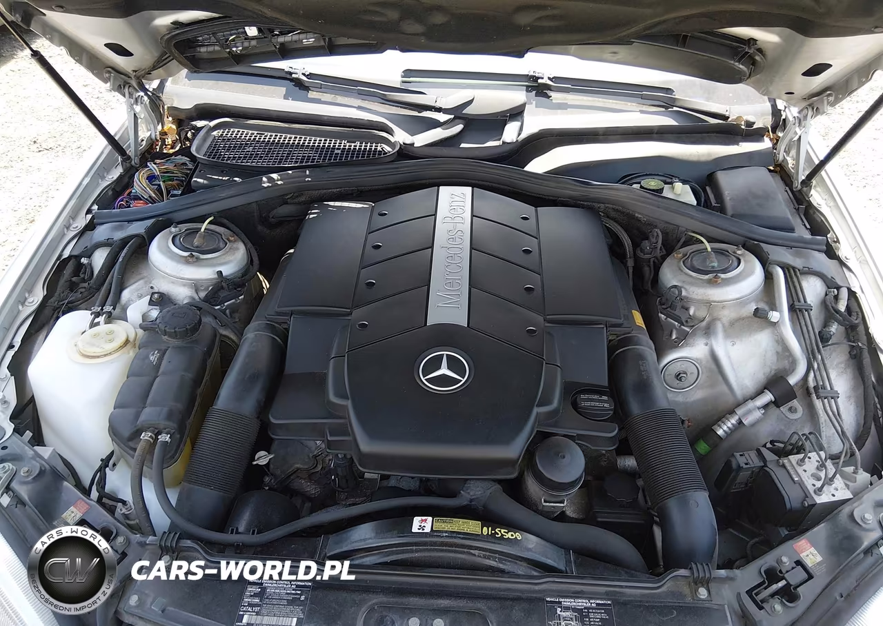 2001 Mercedes-Benz S 430 VIN:WDBNG70JX1A152445 - 10