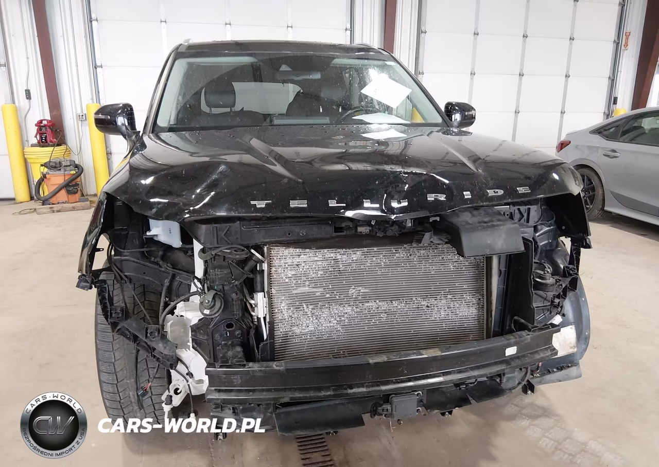 2021 Kia Telluride Ex VIN:5XYP3DHC3MG113467 - 13