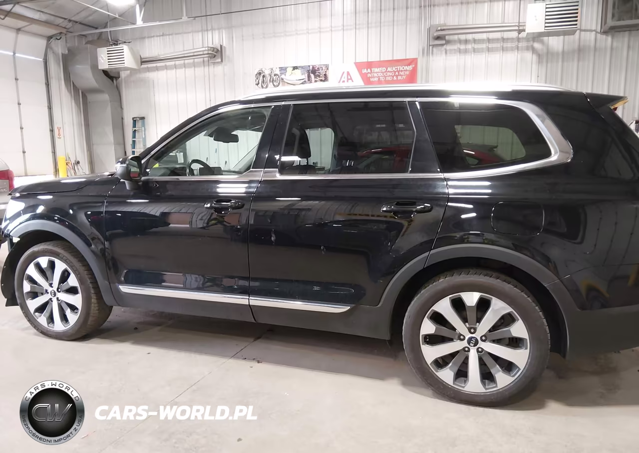 2021 Kia Telluride Ex VIN:5XYP3DHC3MG113467 - 15