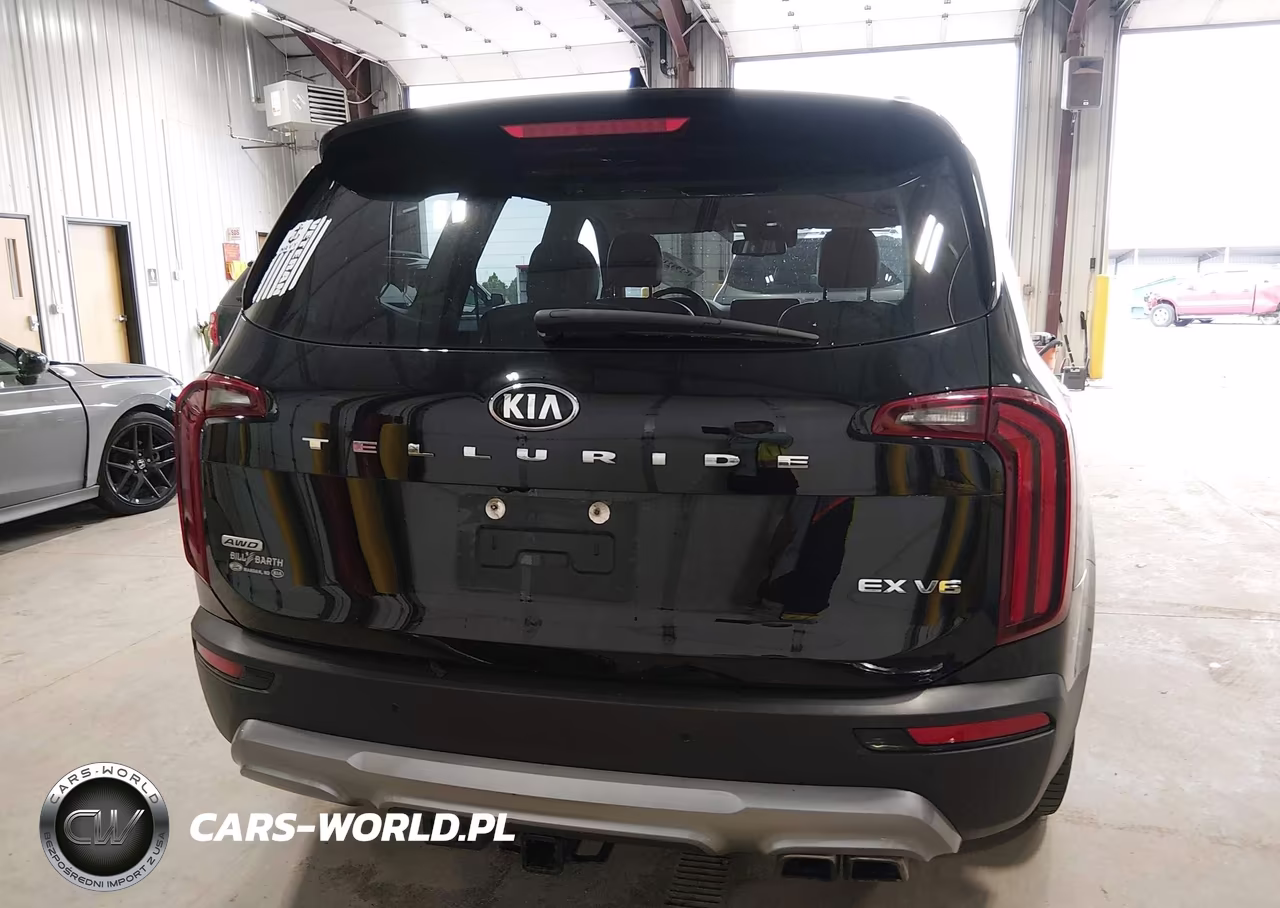 2021 Kia Telluride Ex VIN:5XYP3DHC3MG113467 - 17