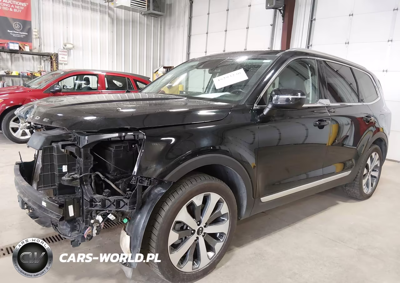 2021 Kia Telluride Ex VIN:5XYP3DHC3MG113467 - 2