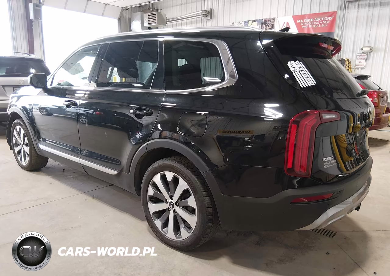 2021 Kia Telluride Ex VIN:5XYP3DHC3MG113467 - 3
