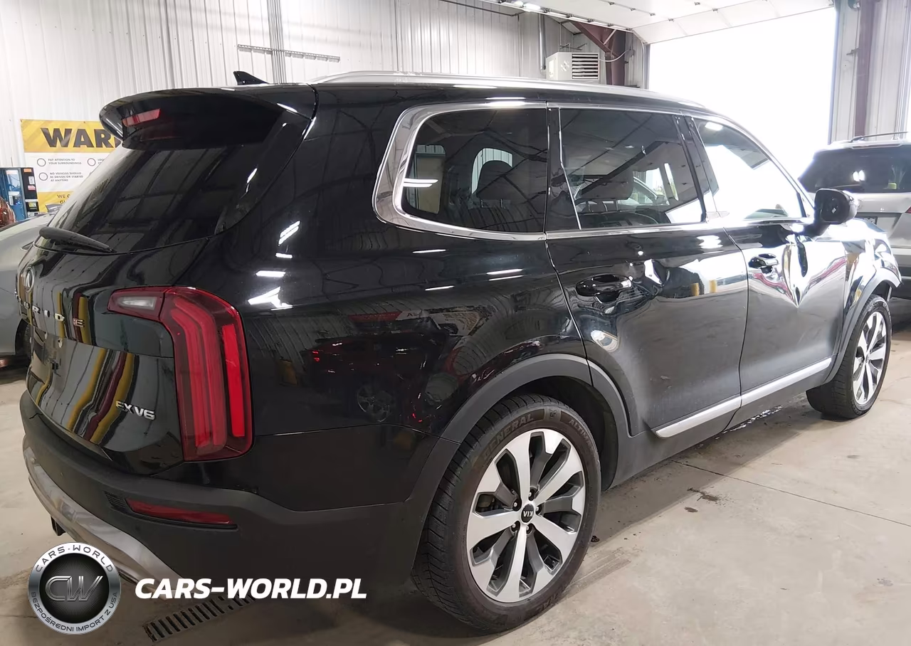 2021 Kia Telluride Ex VIN:5XYP3DHC3MG113467 - 4