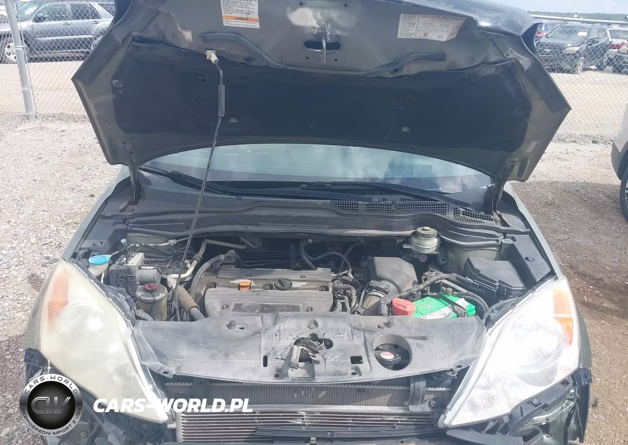 2009 Honda Cr-V Lx VIN:5J6RE383X9L016401 - 10