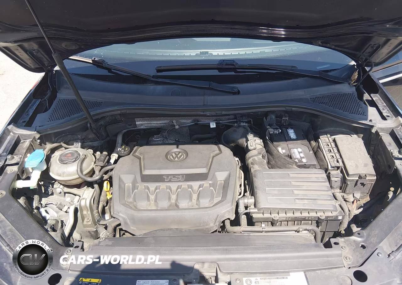 2019 Volkswagen Tiguan 2.0T S VIN:3VV1B7AX3KM087025 - 10