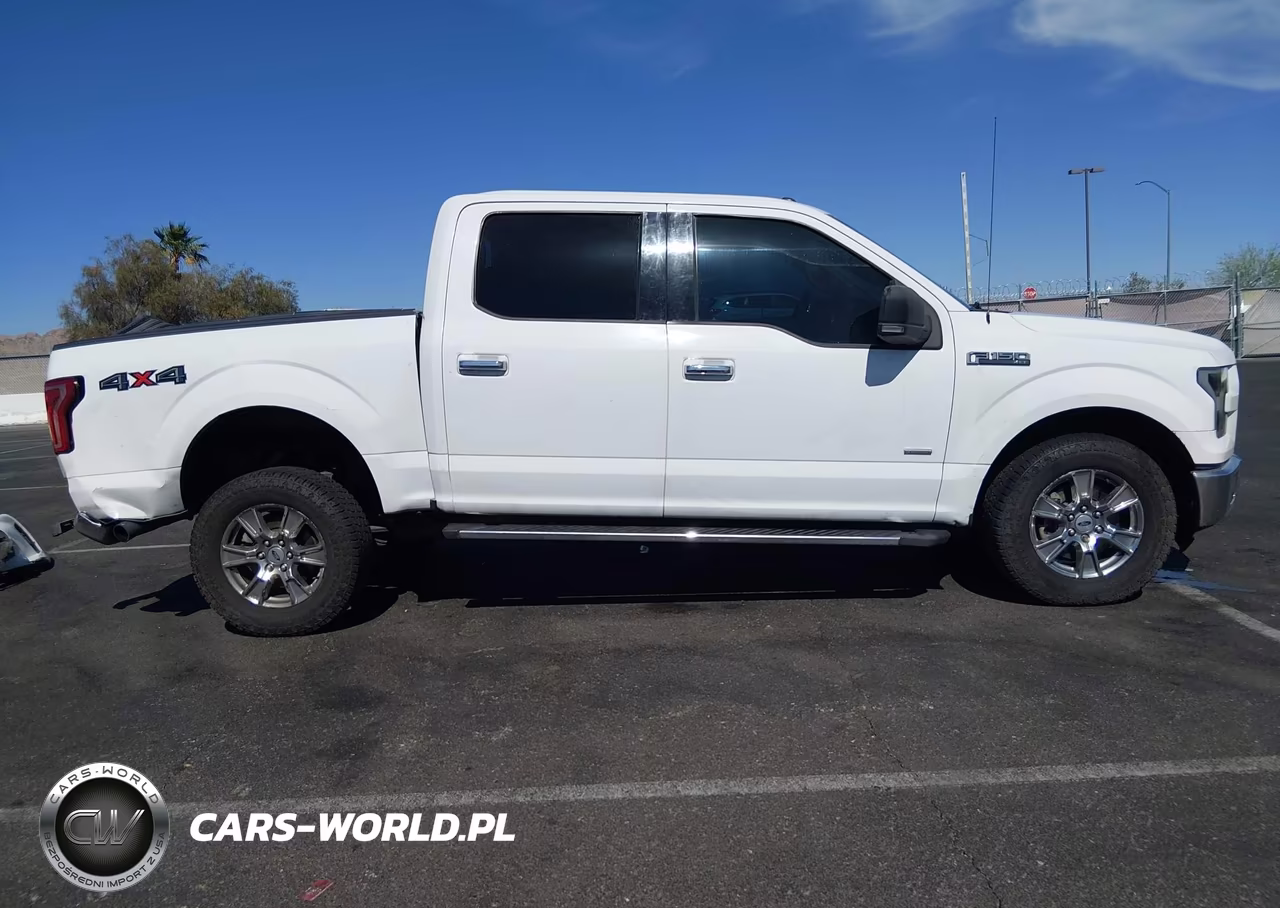 2015 Ford F-150 Xlt VIN:1FTEW1EP3FFA24167 - 13