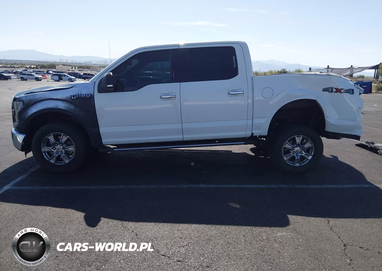 2015 Ford F-150 Xlt VIN:1FTEW1EP3FFA24167 - 14