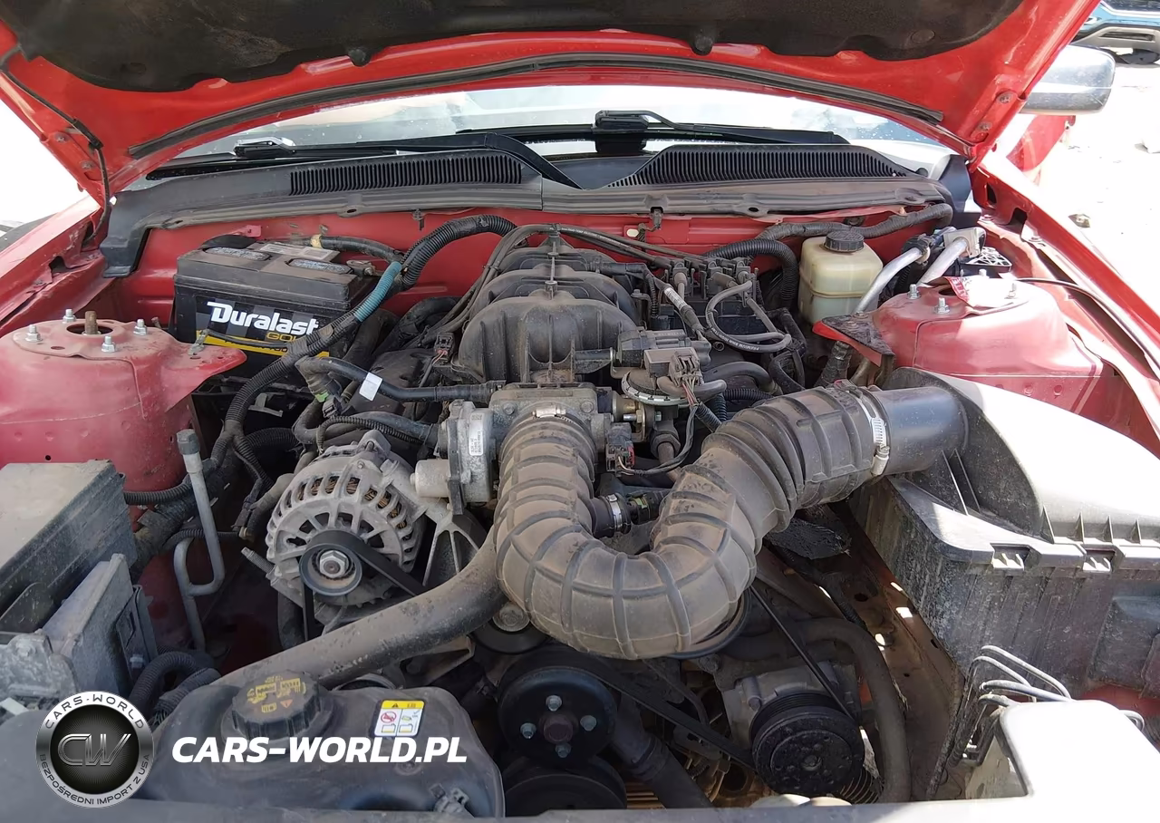 2006 Ford Mustang V6 VIN:1ZVHT84N665144675 - 10
