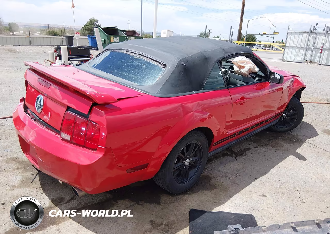 2006 Ford Mustang V6 VIN:1ZVHT84N665144675 - 4
