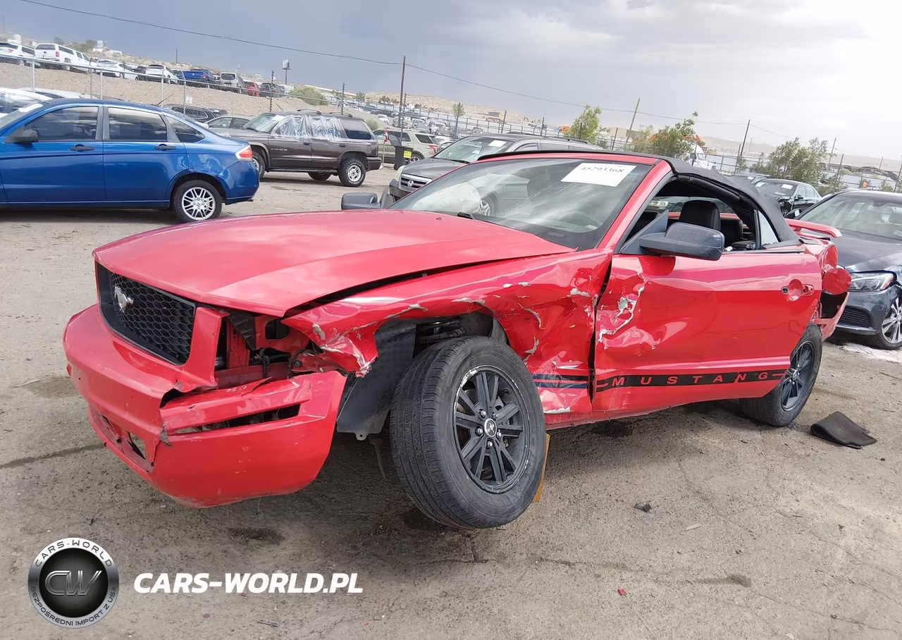 2006 Ford Mustang V6 VIN:1ZVHT84N665144675 - 6
